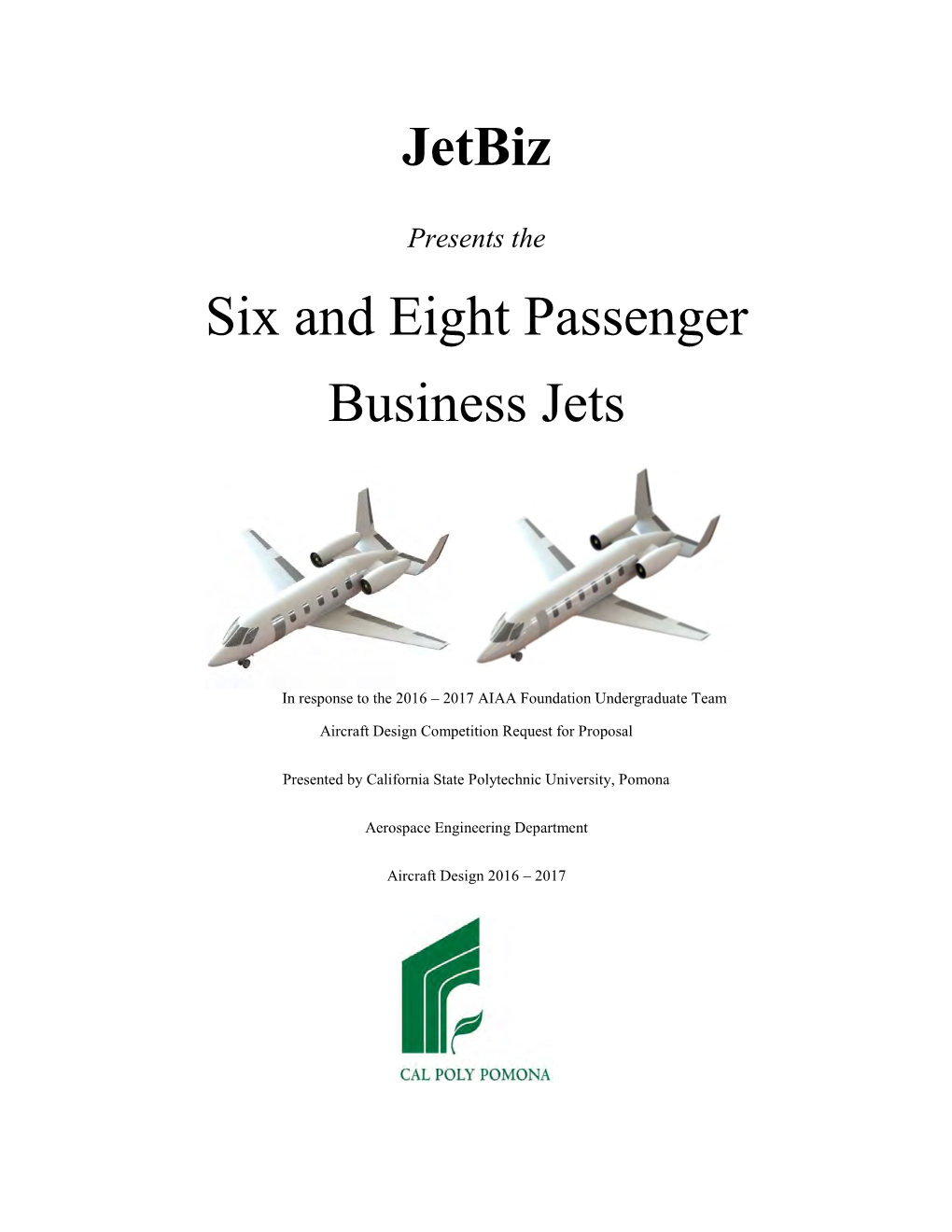 Jetbiz Six and Eight Passenger Business Jets