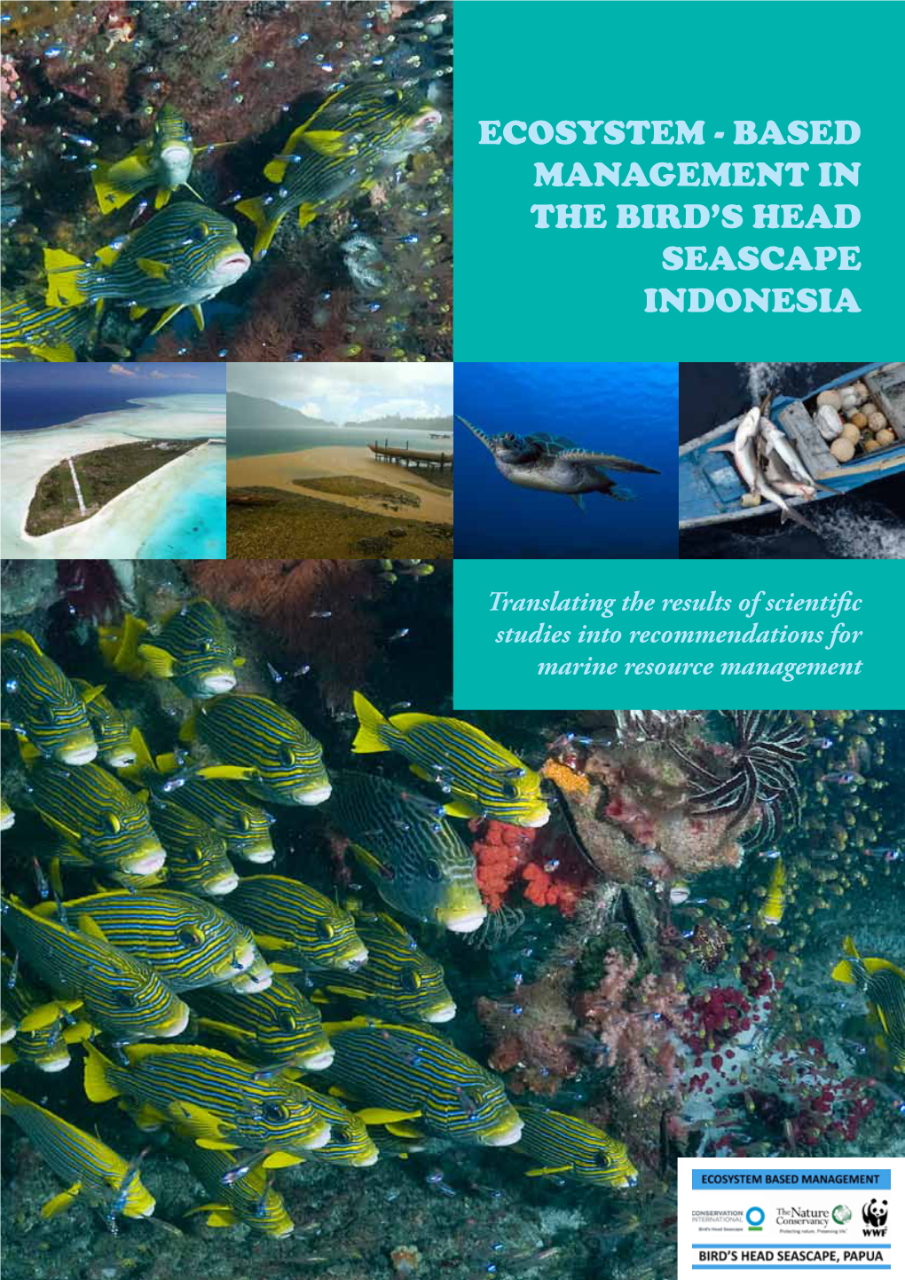 Ecosystem-Based Management in the Bird's Head Seascape, Indonesia