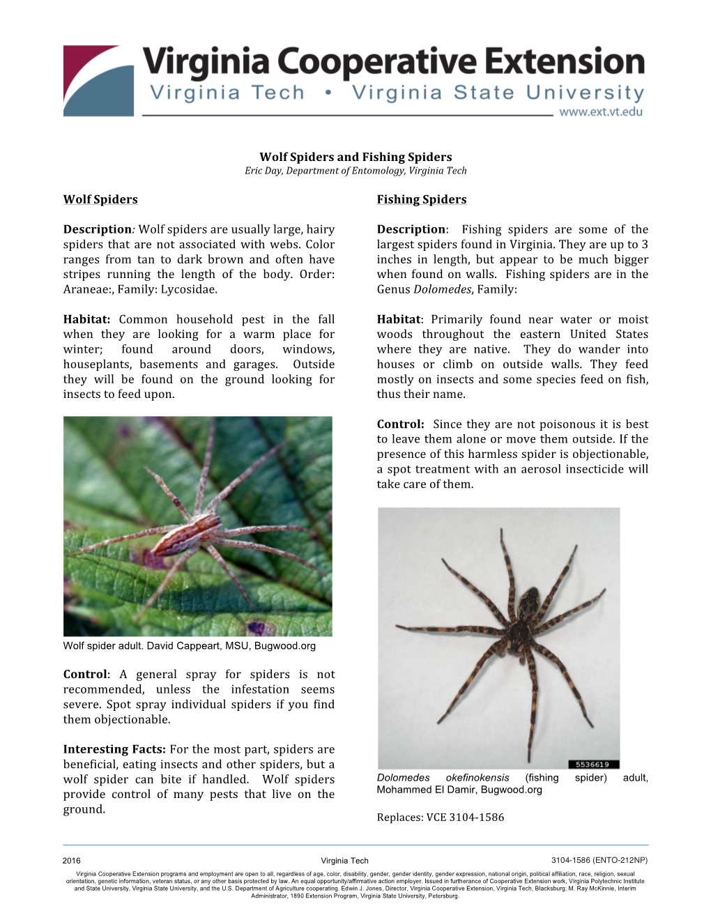 Wolf Spiders and Fishing Spiders Wolf Spiders Description