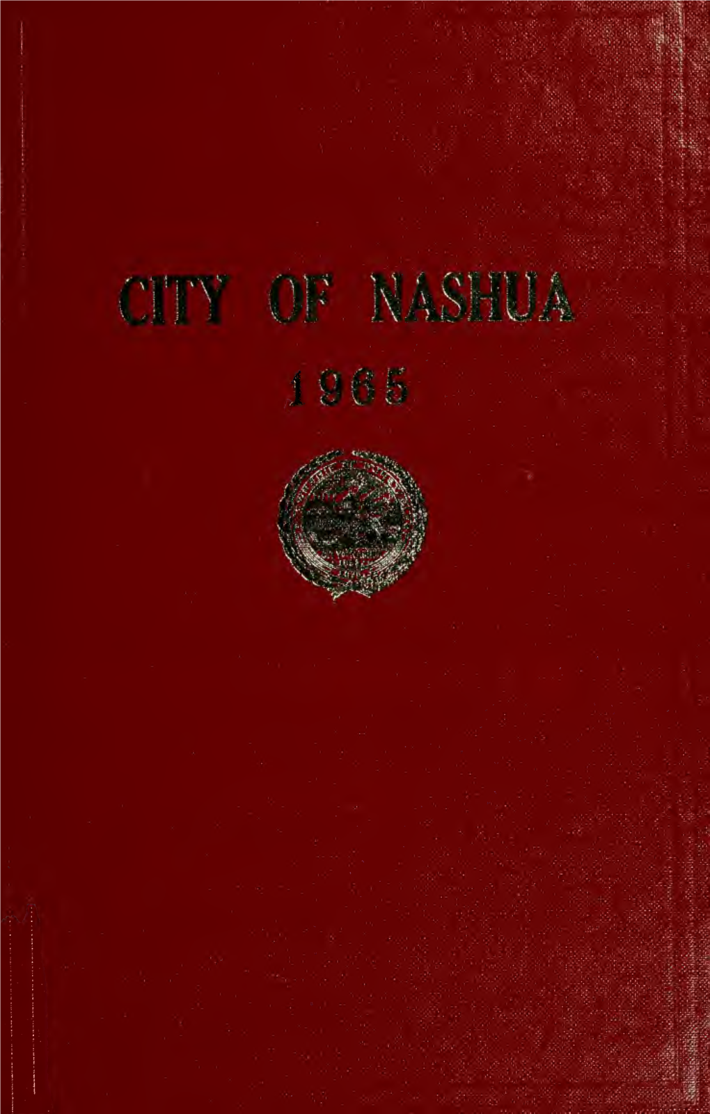 City of Nashua, N.H. 113Th Annual Report of the Municipal Government