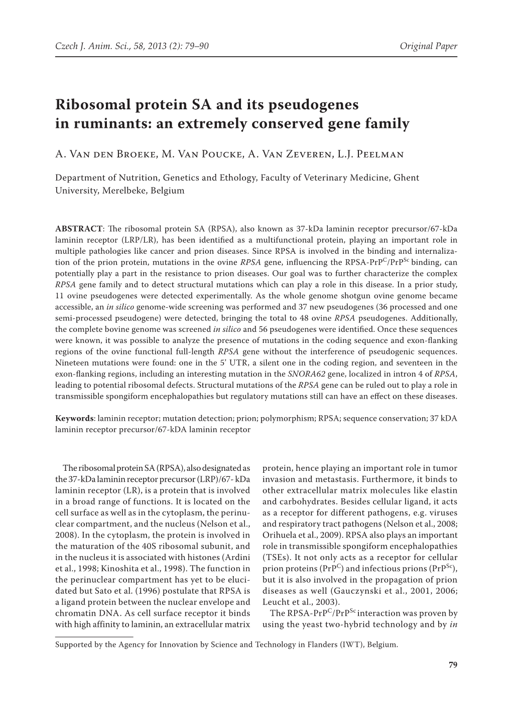 Ribosomal Protein SA and Its Pseudogenes in Ruminants: an Extremely Conserved Gene Family