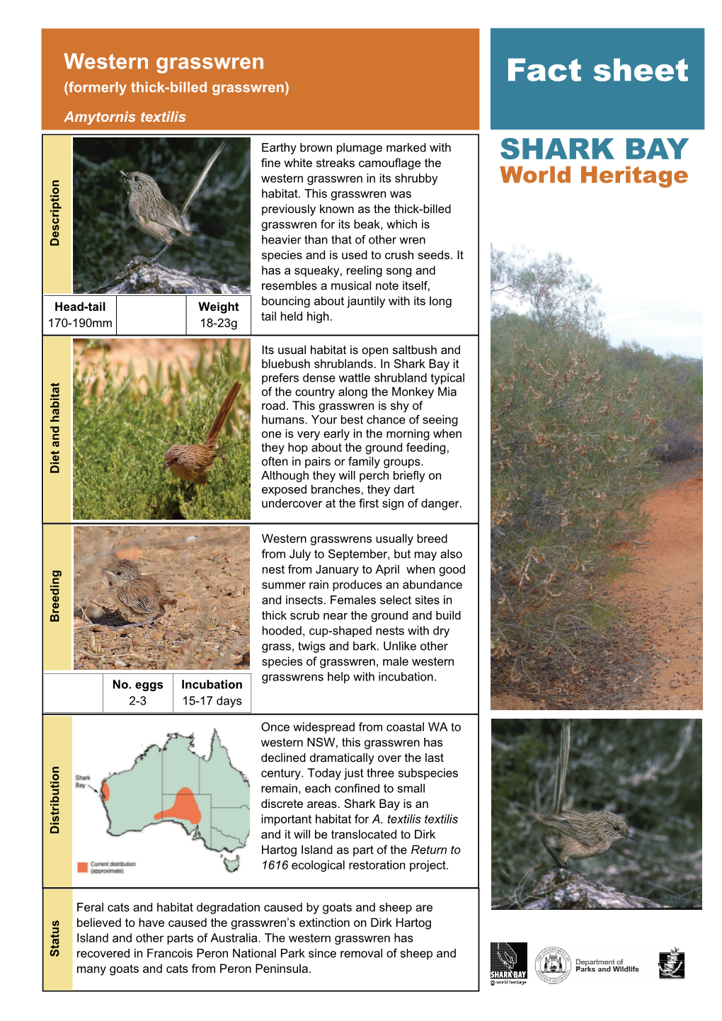 Western Grasswren (Formerly Thick-Billed Grasswren) Fact Sheet Amytornis Textilis