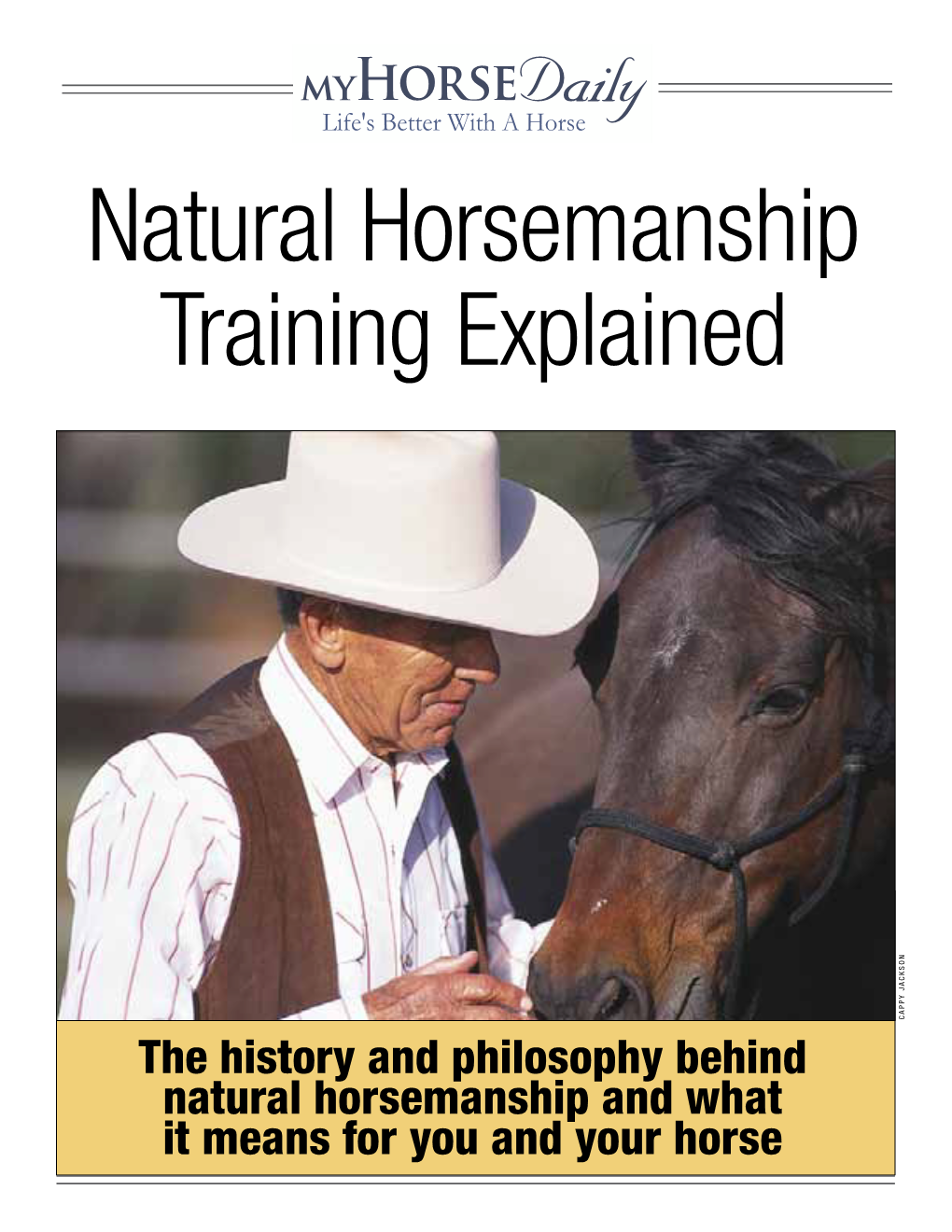 Natural Horsemanship Training Explained
