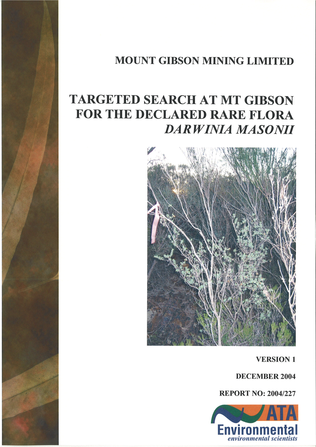 Targeted Search Mt Gibson Darwinia Masonii