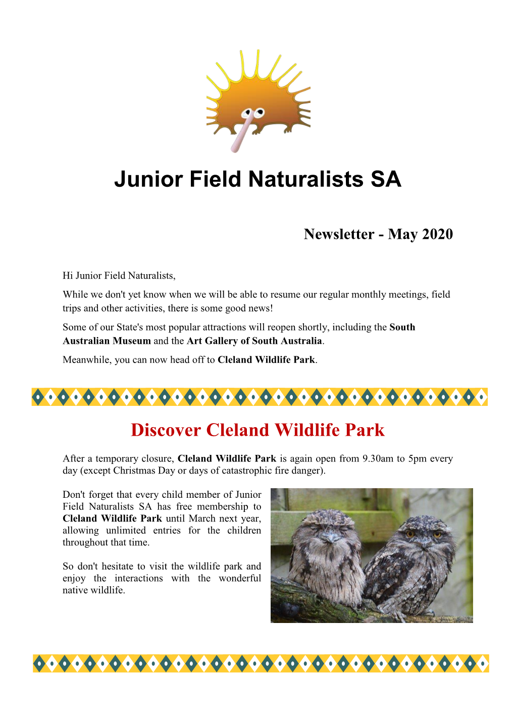 JFNSA-Newsletter-May-2020