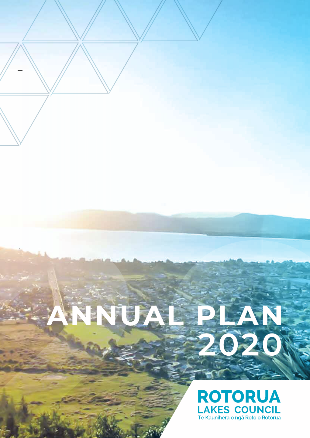 Annual Plan 2020/21