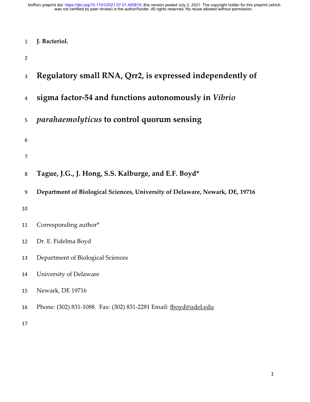 Regulatory Small RNA, Qrr2, Is Expressed Independently of Sigma