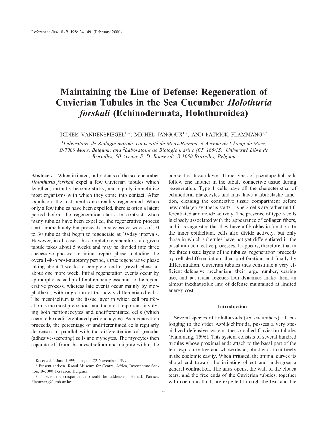 Regeneration of Cuvierian Tubules in the Sea Cucumber Holothuria Forskali (Echinodermata, Holothuroidea)