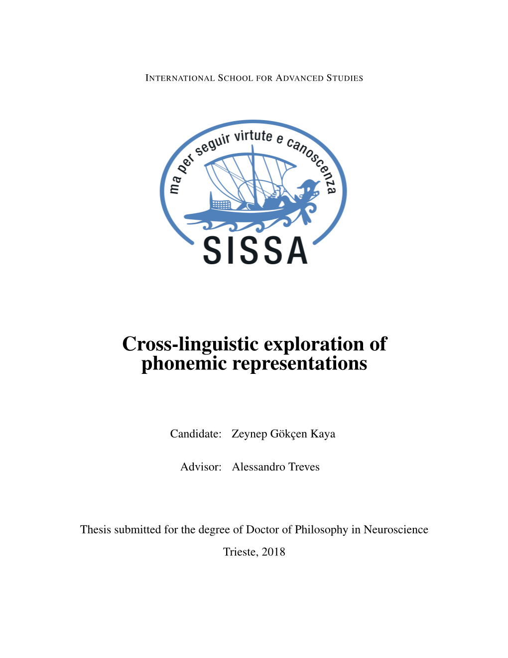 Cross-Linguistic Exploration of Phonemic Representations