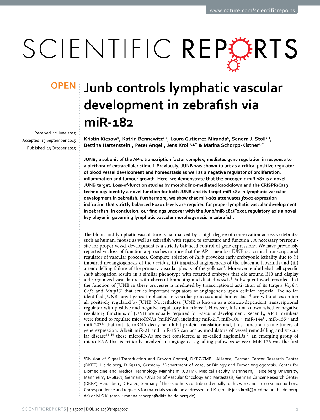 Junb Controls Lymphatic Vascular Development in Zebrafish Via Mir-182