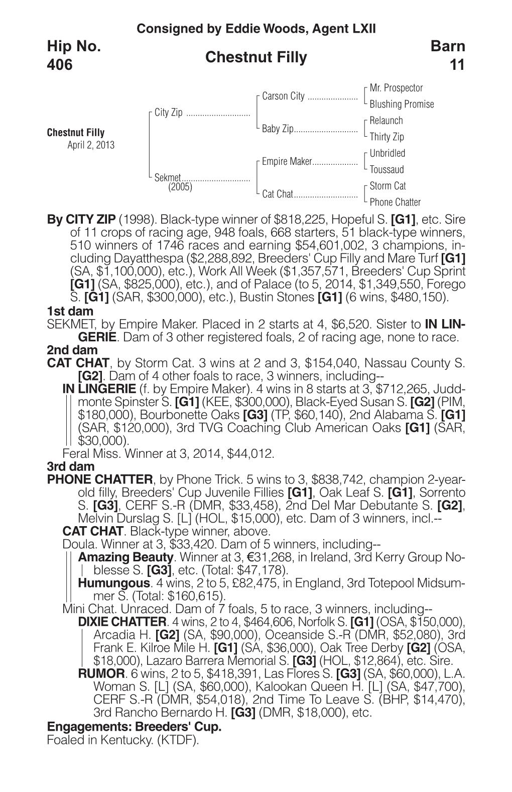 Chestnut Filly Barn 11 Hip No