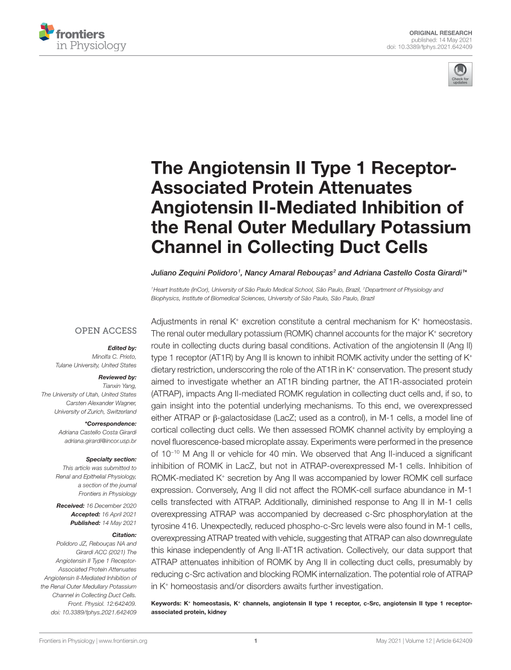 Associated Protein Attenuates Angiotensin II-Mediated Inhibition of the Renal Outer Medullary Potassium Channel in Collecting Duct Cells