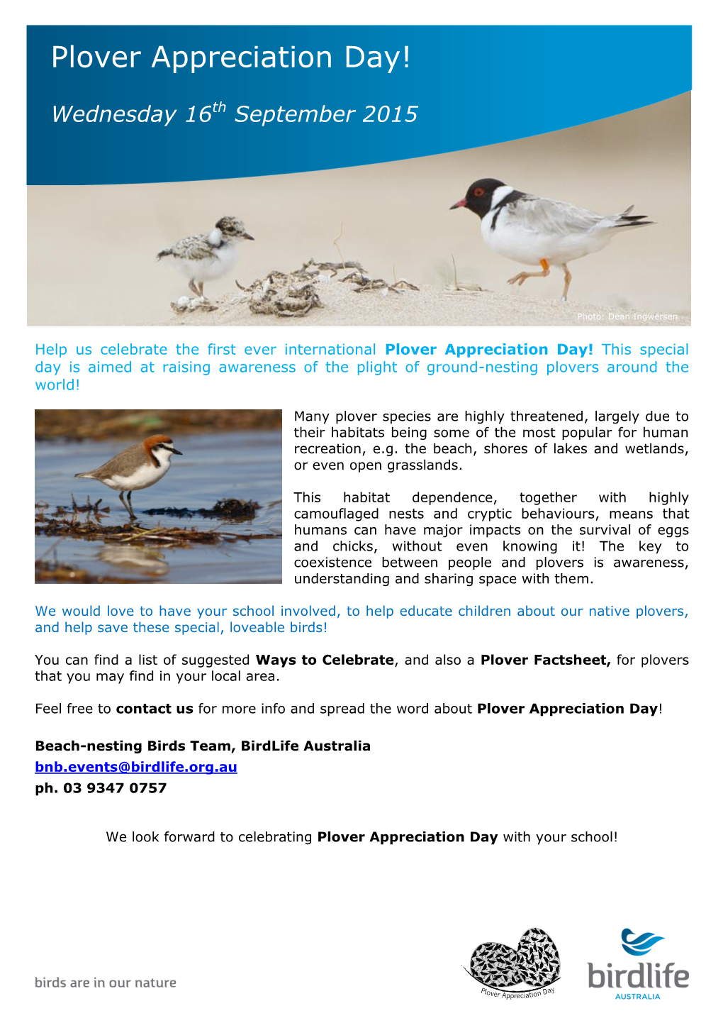 Plover Appreciation Day!