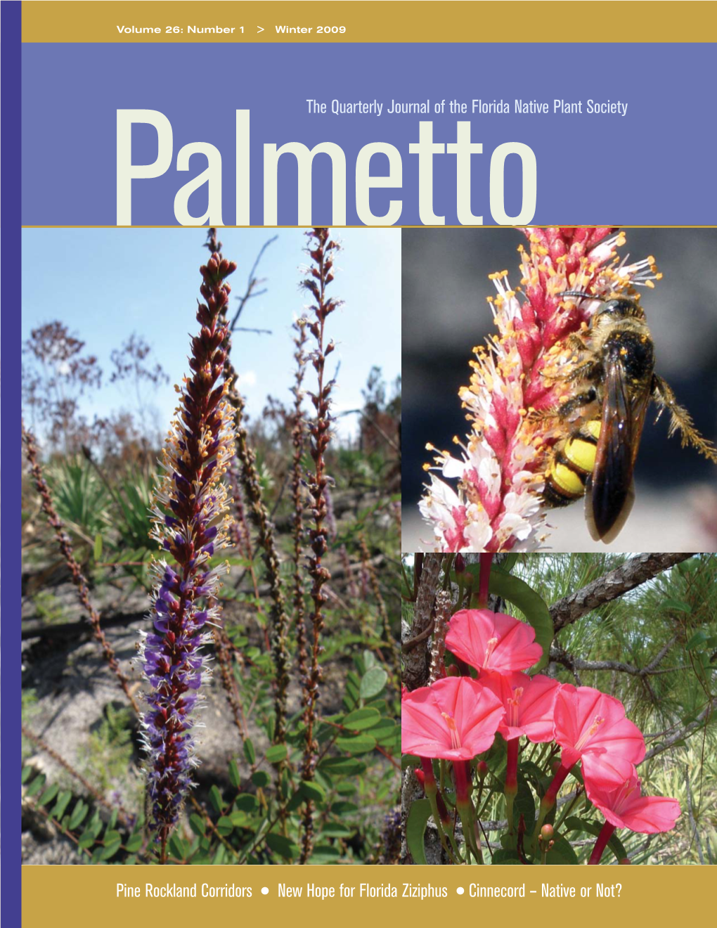 The Quarterly Journal of the Florida Native Plant Society Pine Rockland