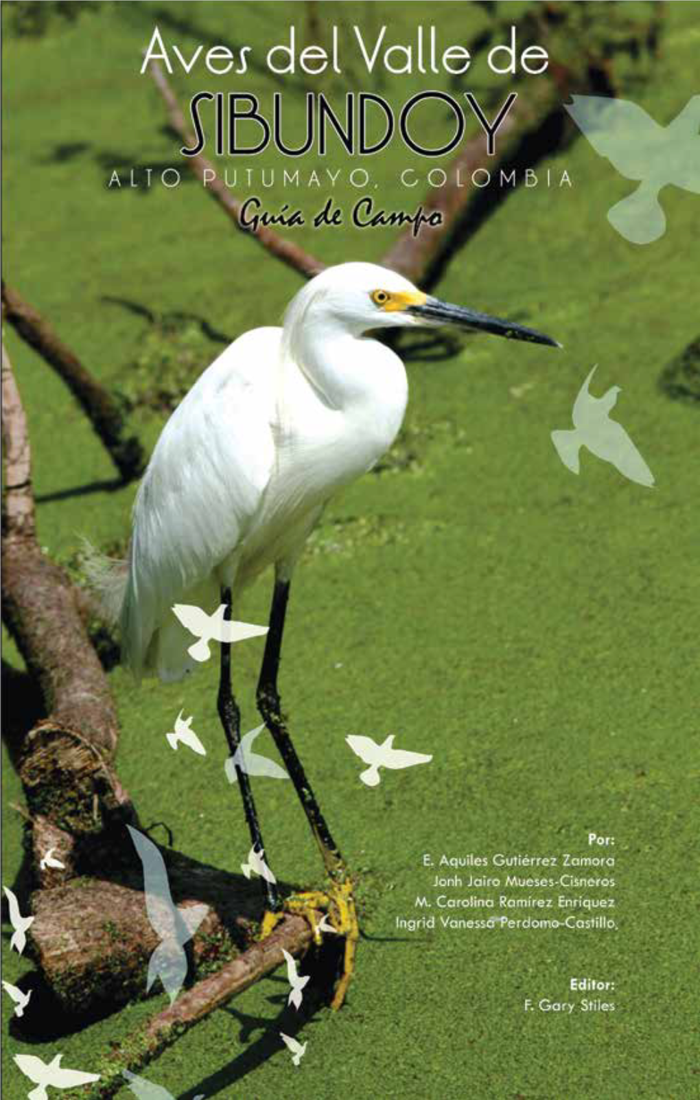 Aves Del Valle De Sibundoy, Alto Putumayo, Colombia -Guía De Campo