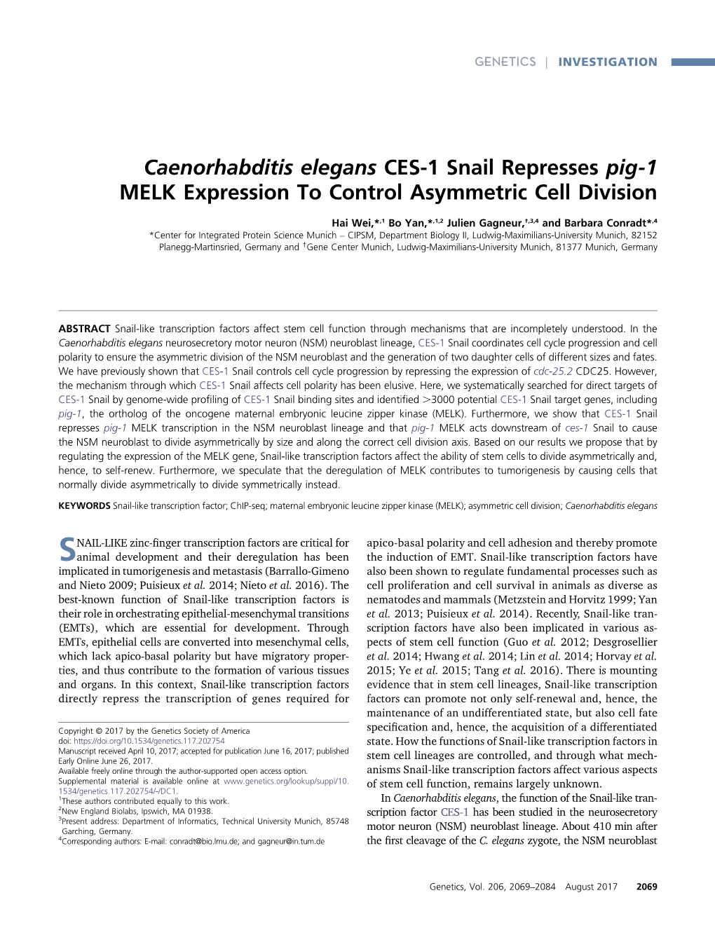 Caenorhabditis Elegans CES-1 Snail Represses Pig-1 MELK Expression to Control Asymmetric Cell Division