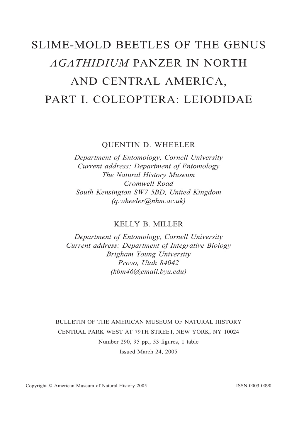 Slime-Mold Beetles of the Genus Agathidium Panzer in North and Central America, Part I