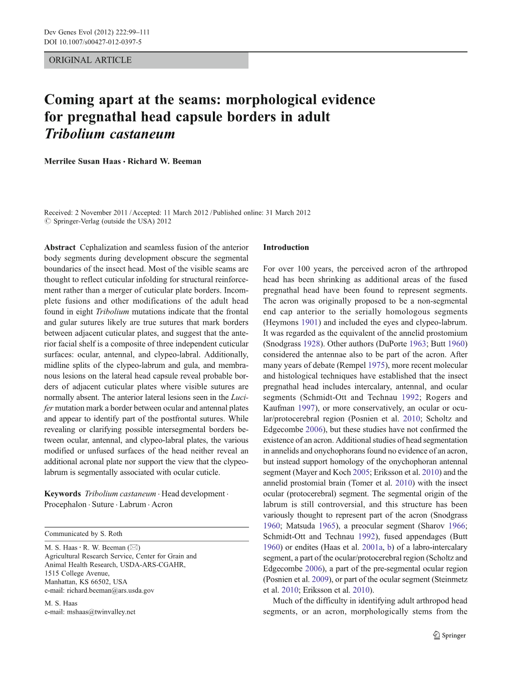 Morphological Evidence for Pregnathal Head Capsule Borders in Adult Tribolium Castaneum