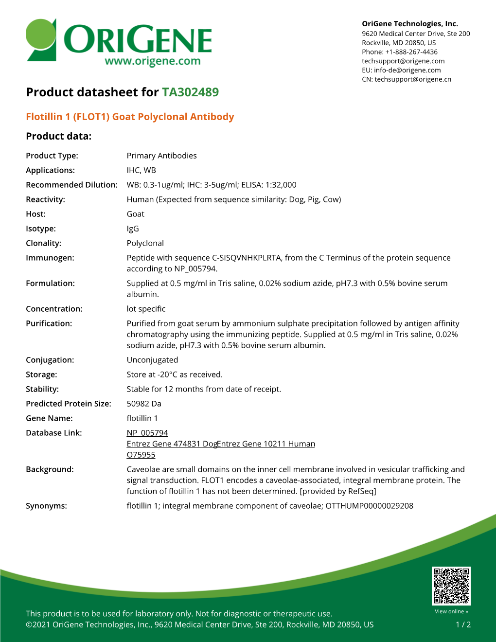 Flotillin 1 (FLOT1) Goat Polyclonal Antibody – TA302489 | Origene