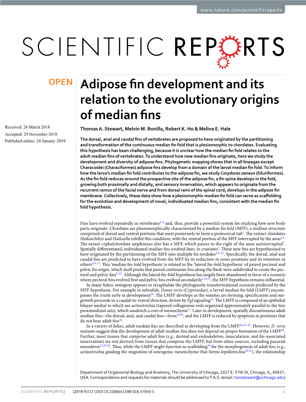 Adipose Fin Development and Its Relation