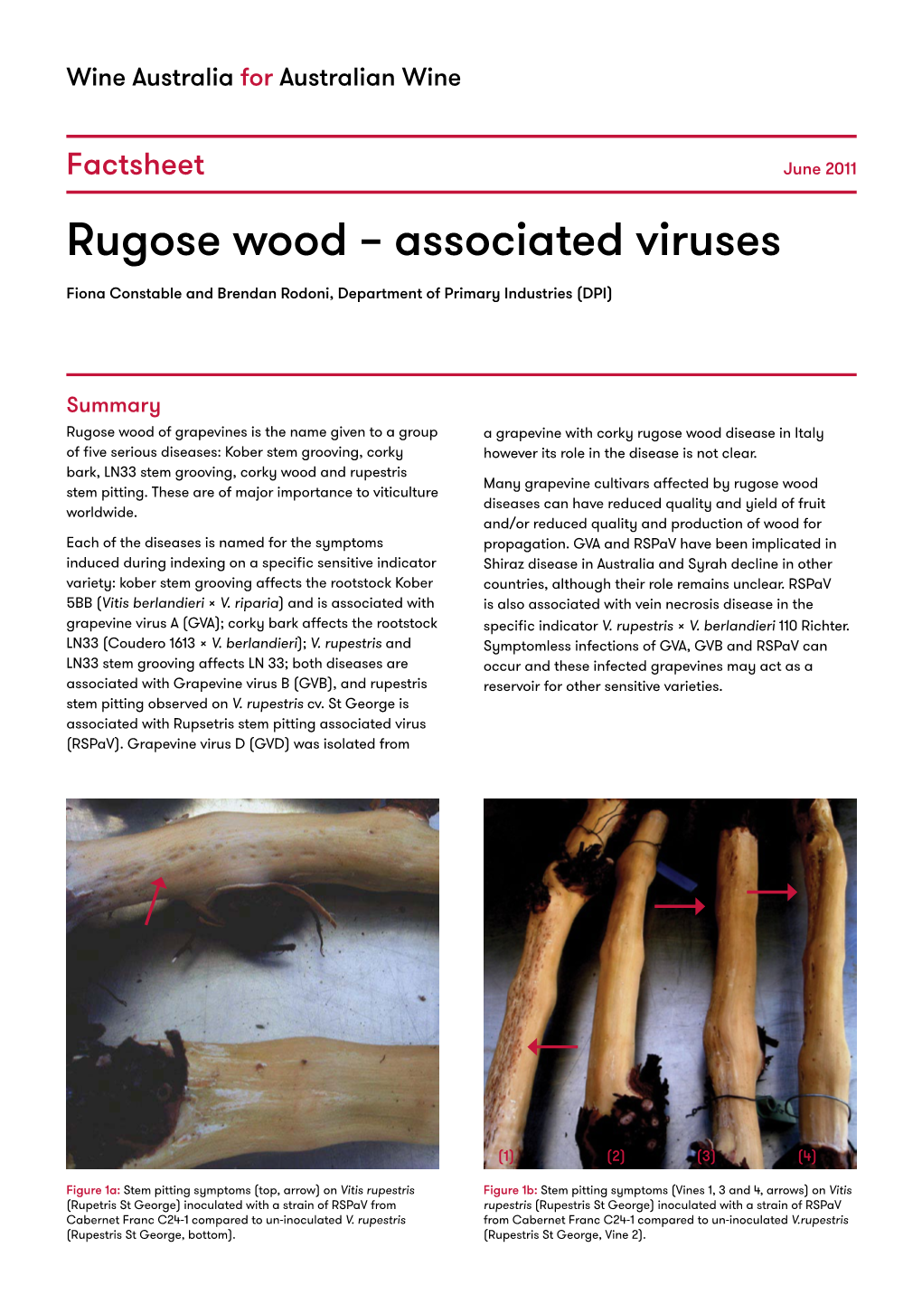 Rugose Wood – Associated Viruses