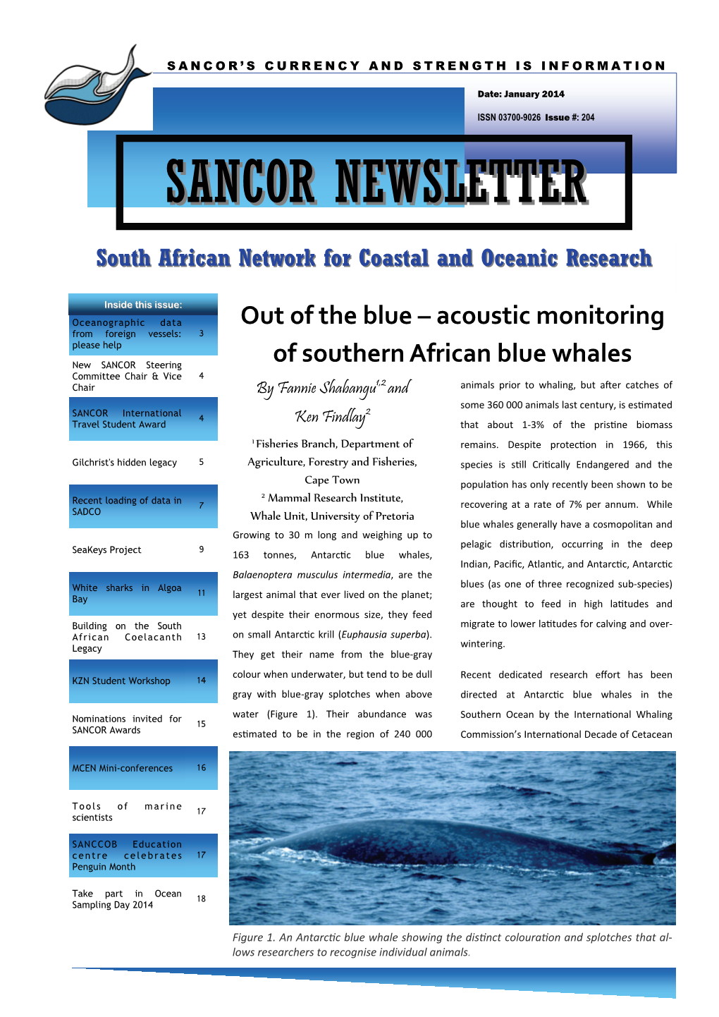 Sancor Newsletternewsletter