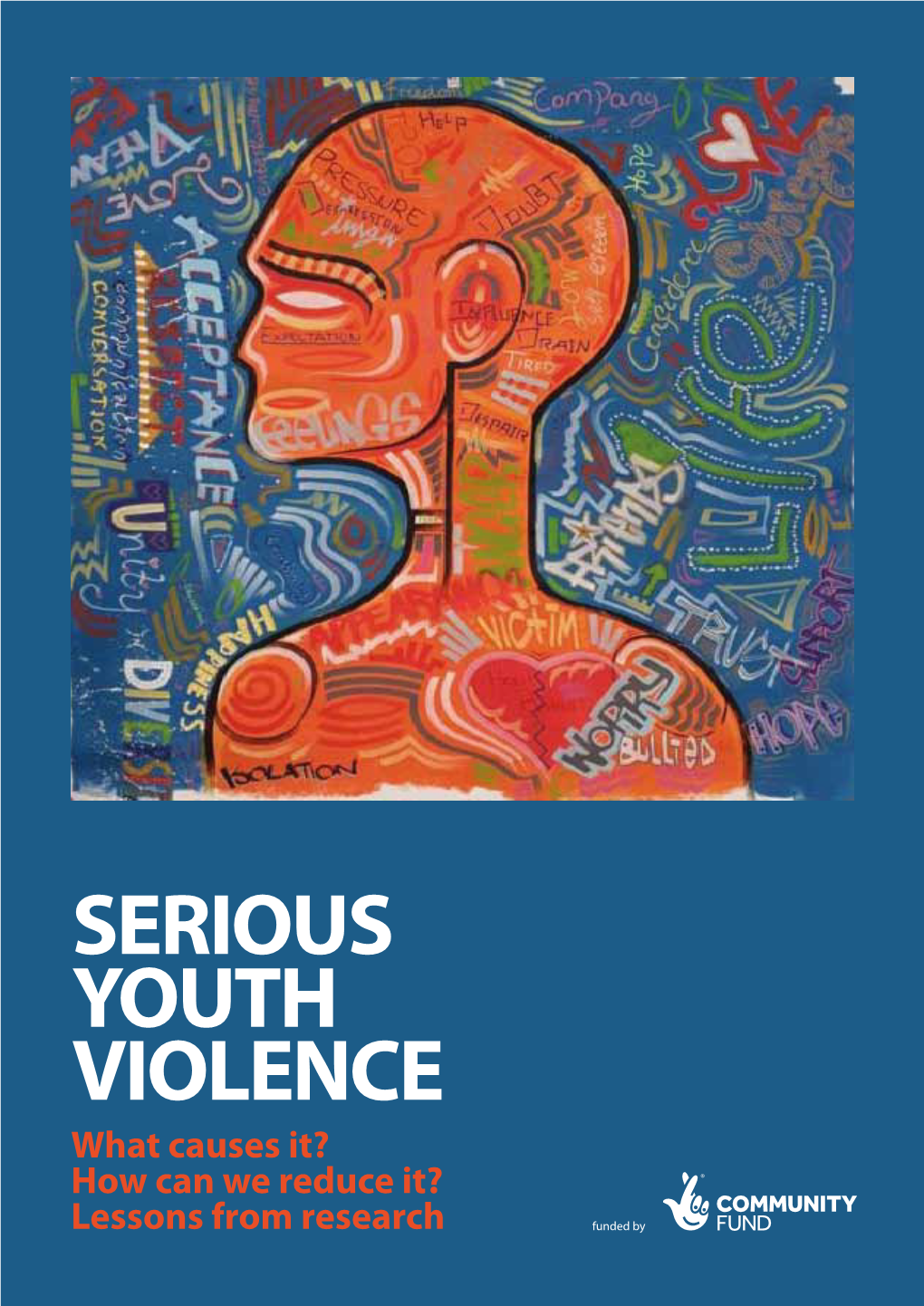 Serious Youth Violence What Causes It? How Can We Reduce It?