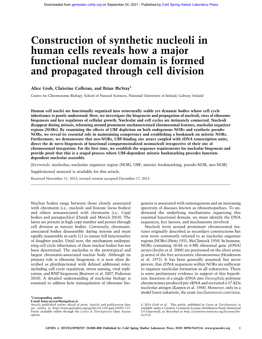 Construction of Synthetic Nucleoli in Human Cells Reveals How a Major Functional Nuclear Domain Is Formed and Propagated Through Cell Division