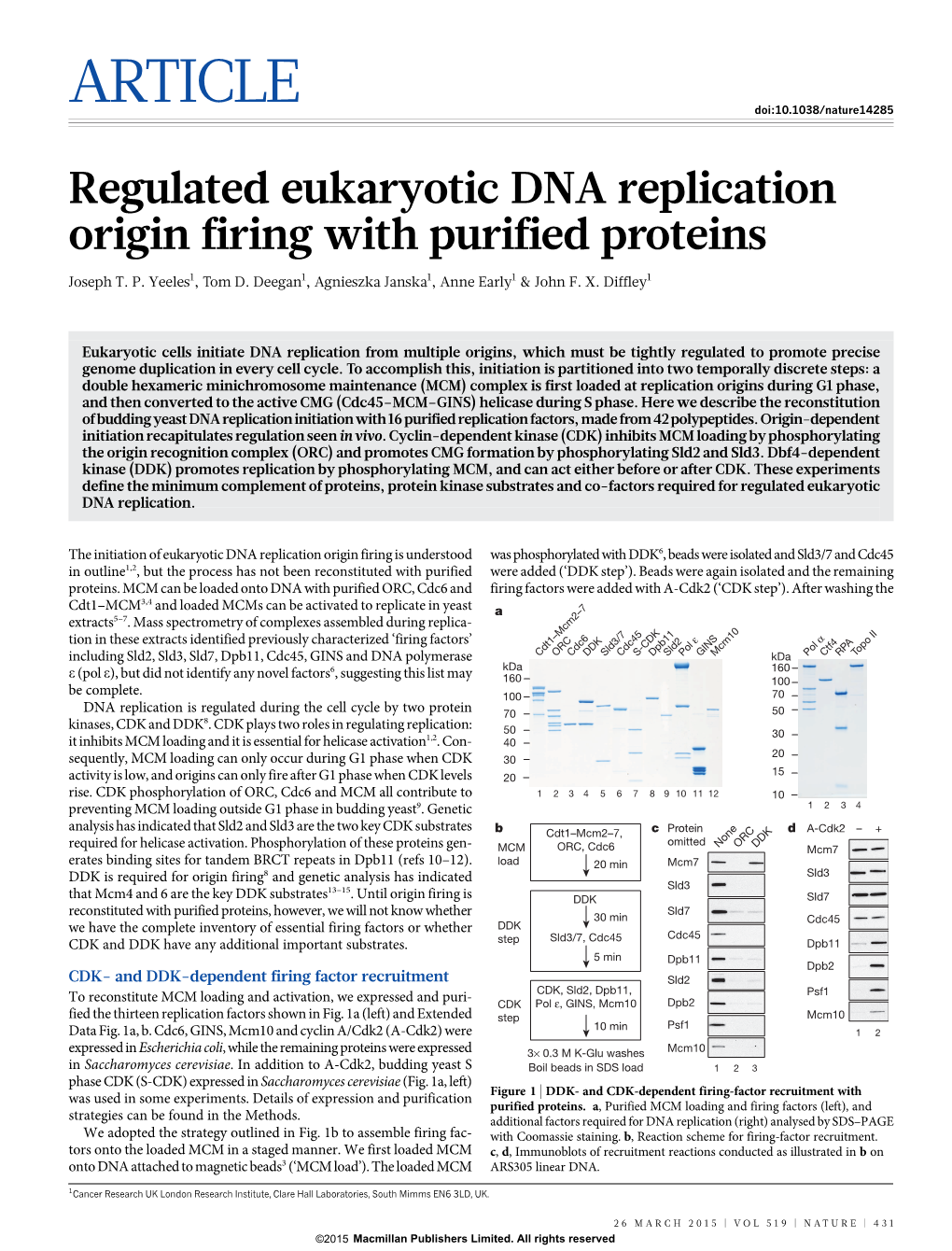 Regulated Eukaryotic DNA Replication Origin Firing with Purified Proteins