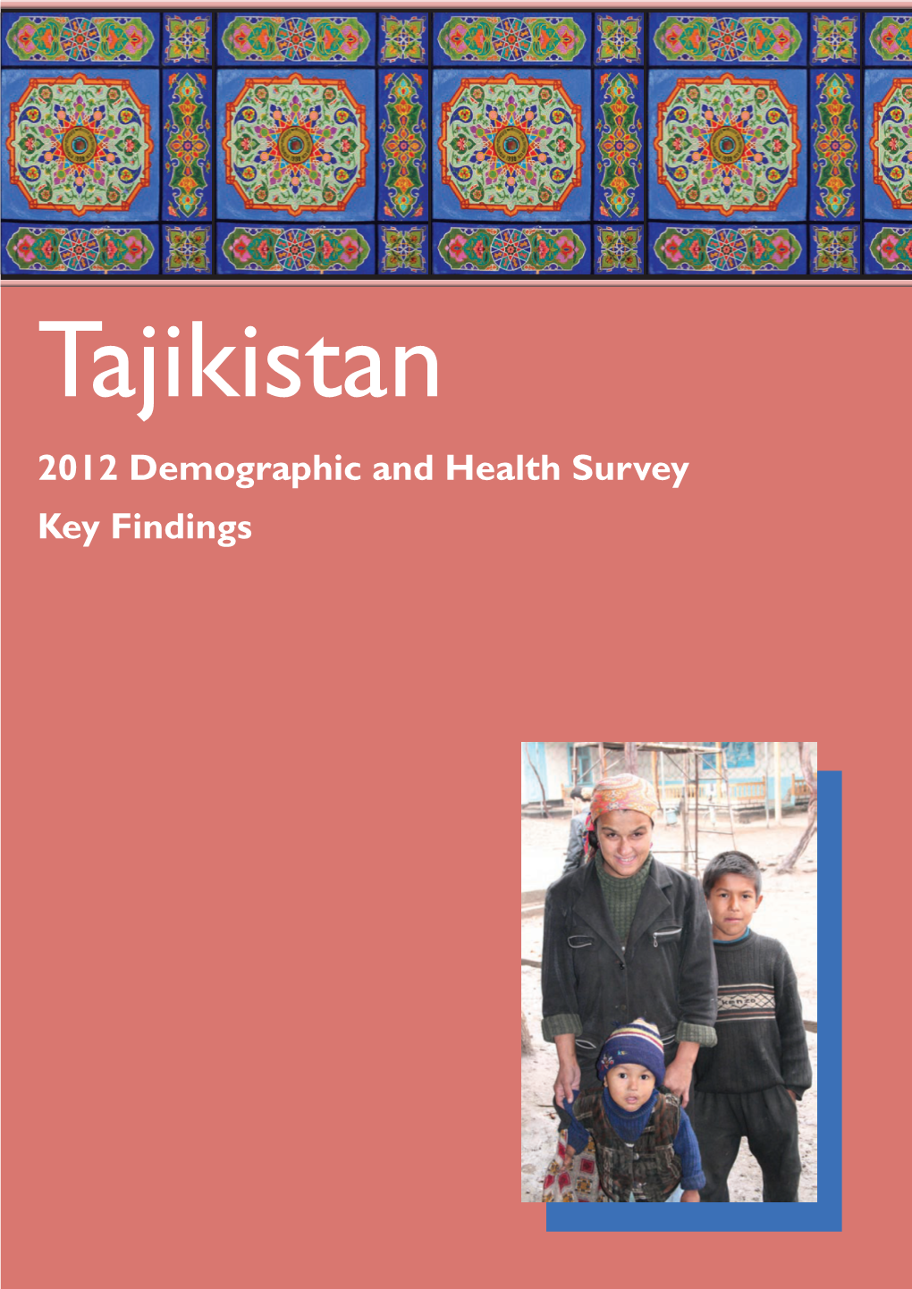 Tajikistan 2012 Demographic and Health Survey