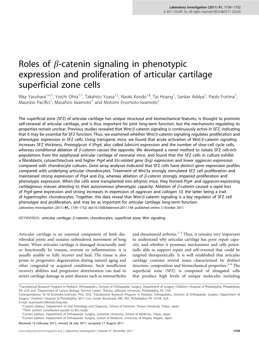 Roles of Β-Catenin Signaling in Phenotypic Expression And