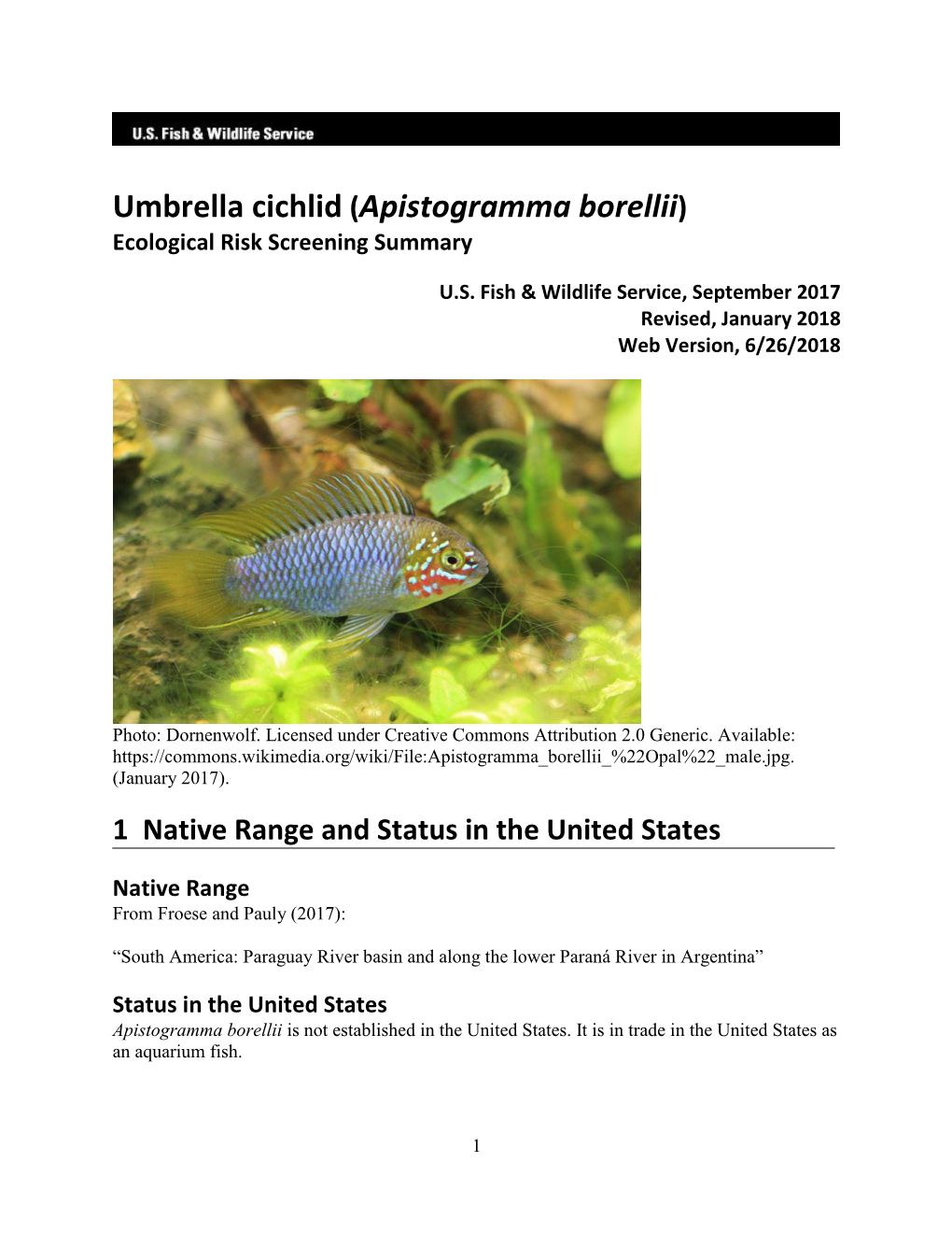 Apistogramma Borellii) Ecological Risk Screening Summary