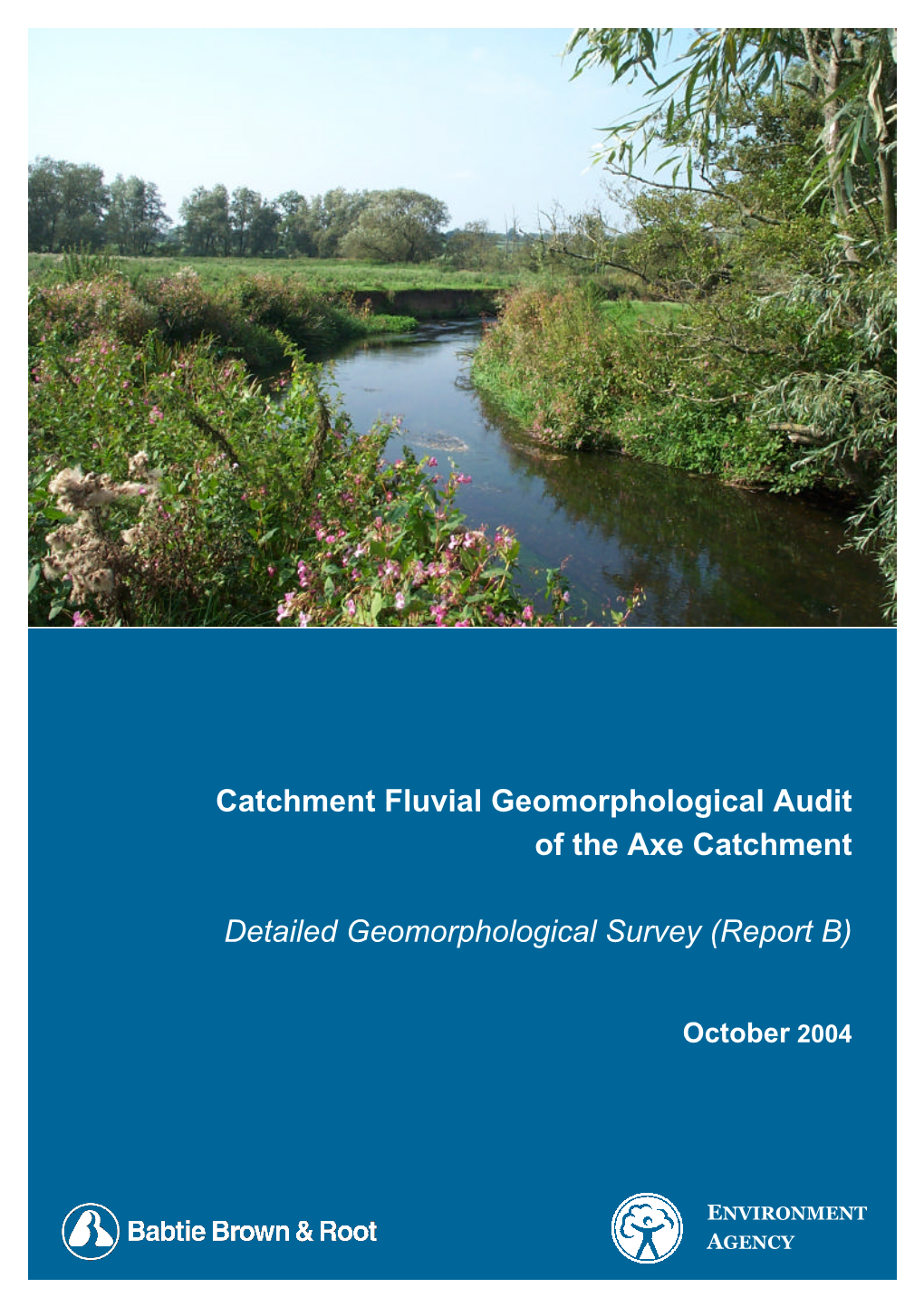 Catchment Fluvial Geomorphological Audit of the Axe Catchment Detailed Geomorphological Survey (Report B)