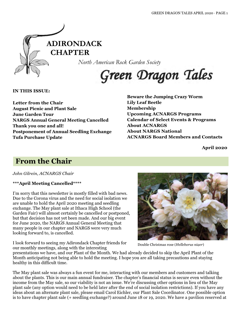 2019 Mar Green Dragon