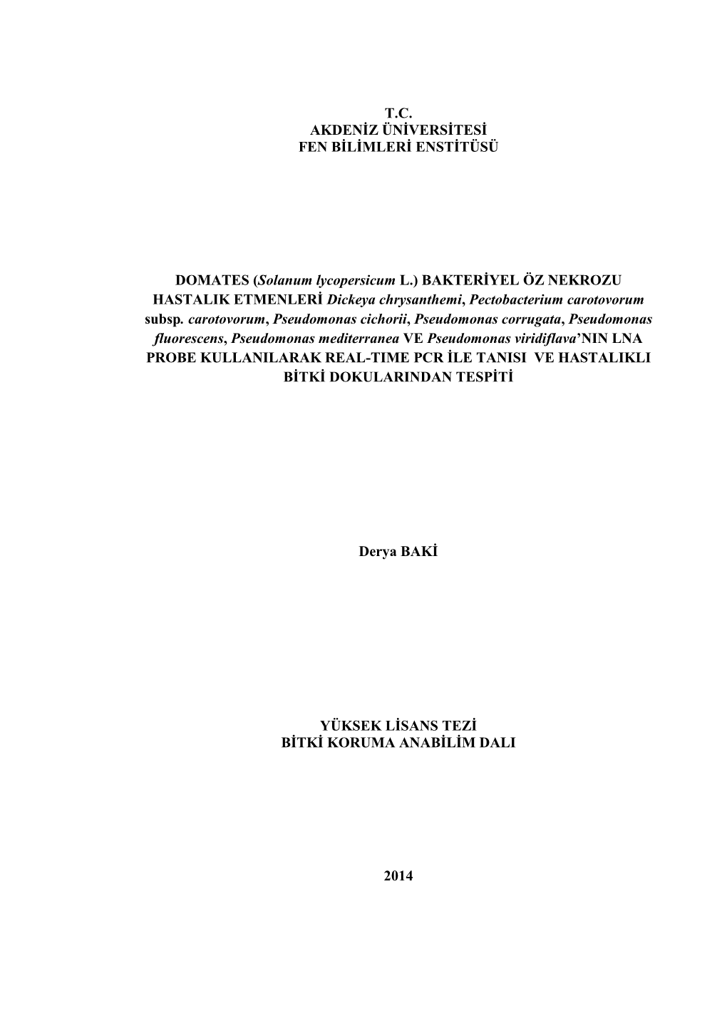 (Solanum Lycopersicum L.) BAKTERĠYEL ÖZ NEKROZU HASTALIK ETMENLERĠ Dickeya Chrysanthemi, Pectobacterium Carotovorum Subsp