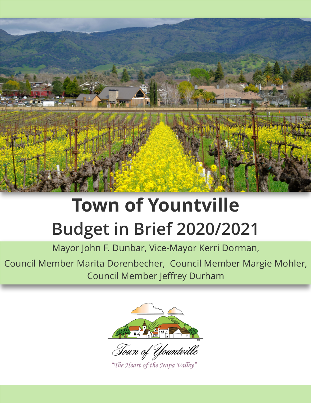 2020-21 Budget in Brief Cover