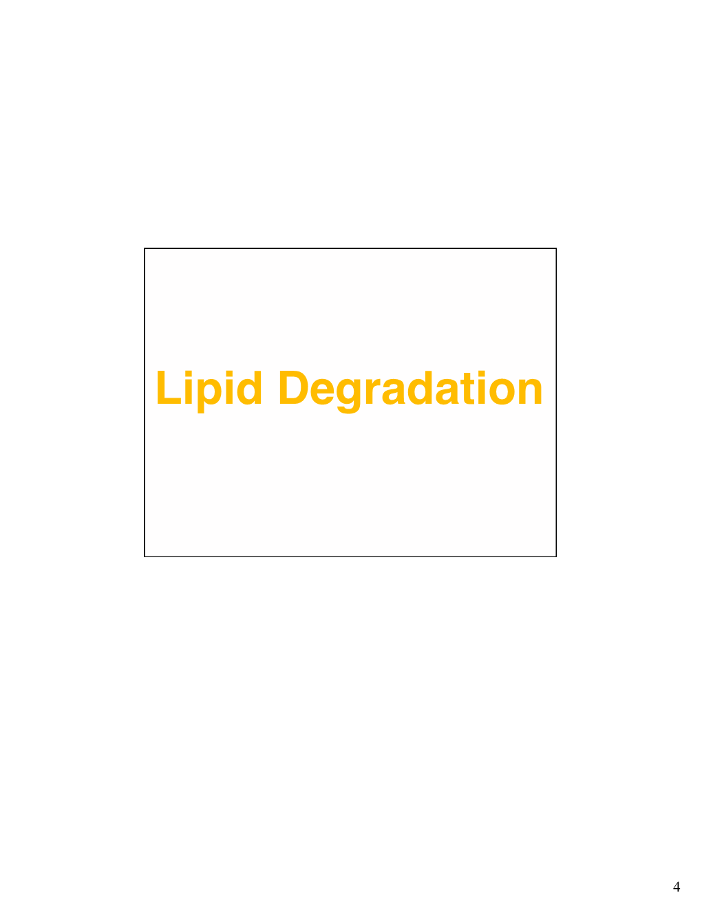 Lipid Degradation: Fatty Acids