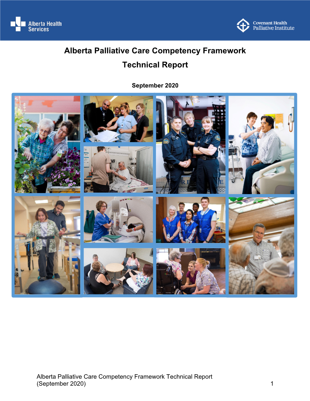 Alberta Palliative Care Competency Framework Technical Report