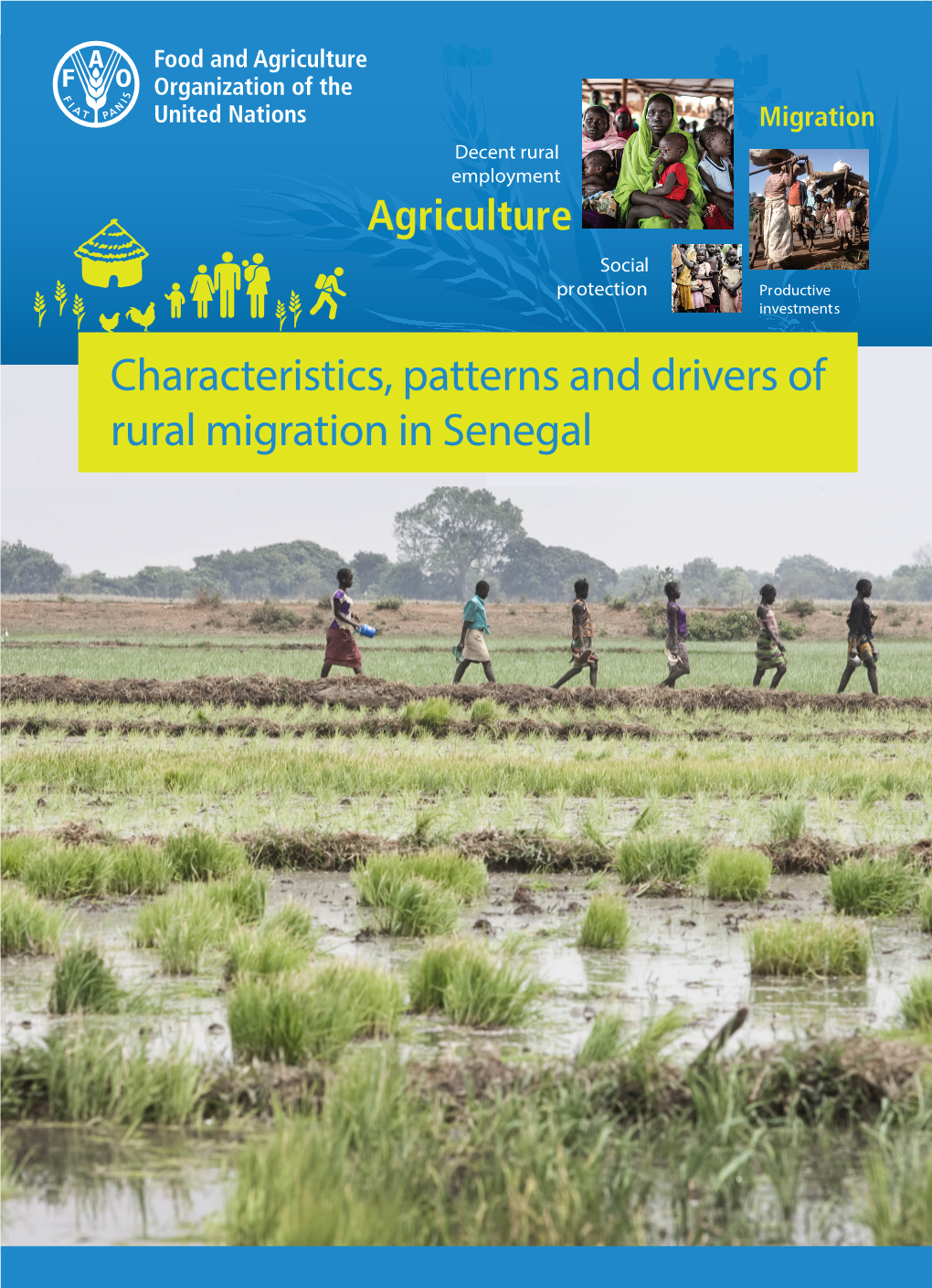 Characteristics, Patterns and Drivers of Rural Migration in Senegal Characteristics, Patterns and Drivers of Rural Migration in Senegal