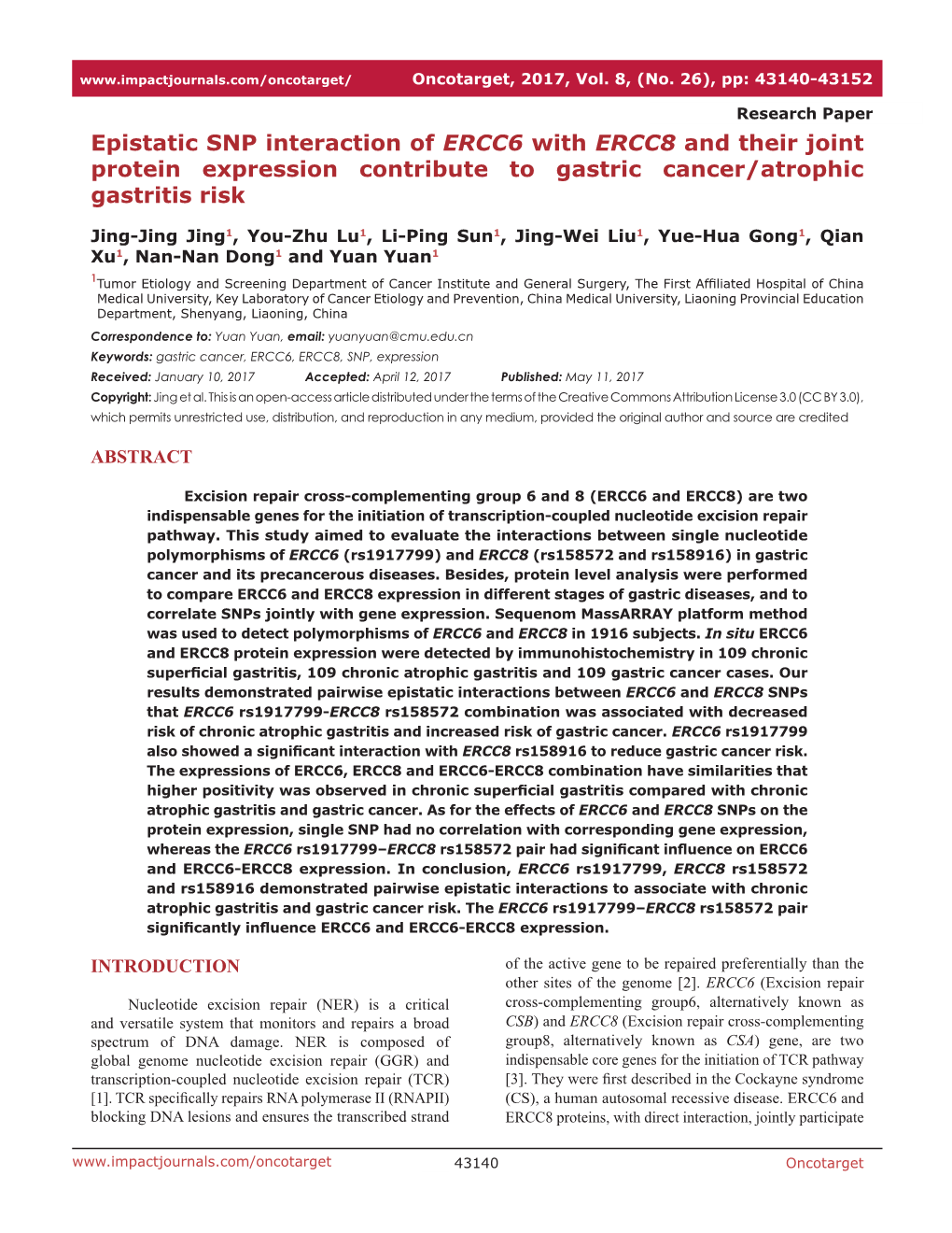 Epistatic SNP Interaction of ERCC6 with ERCC8 and Their Joint Protein Expression Contribute to Gastric Cancer/Atrophic Gastritis Risk