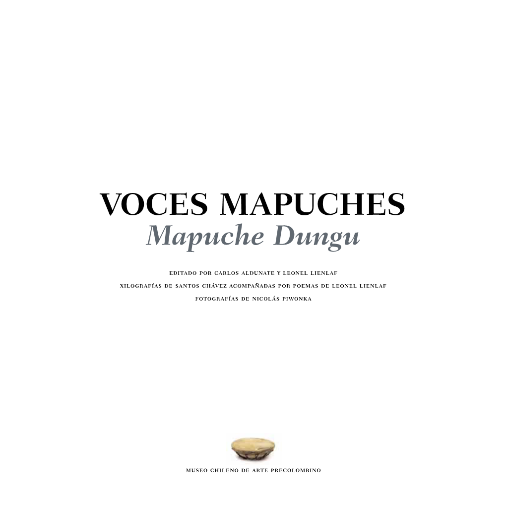 Voces Mapuche Español