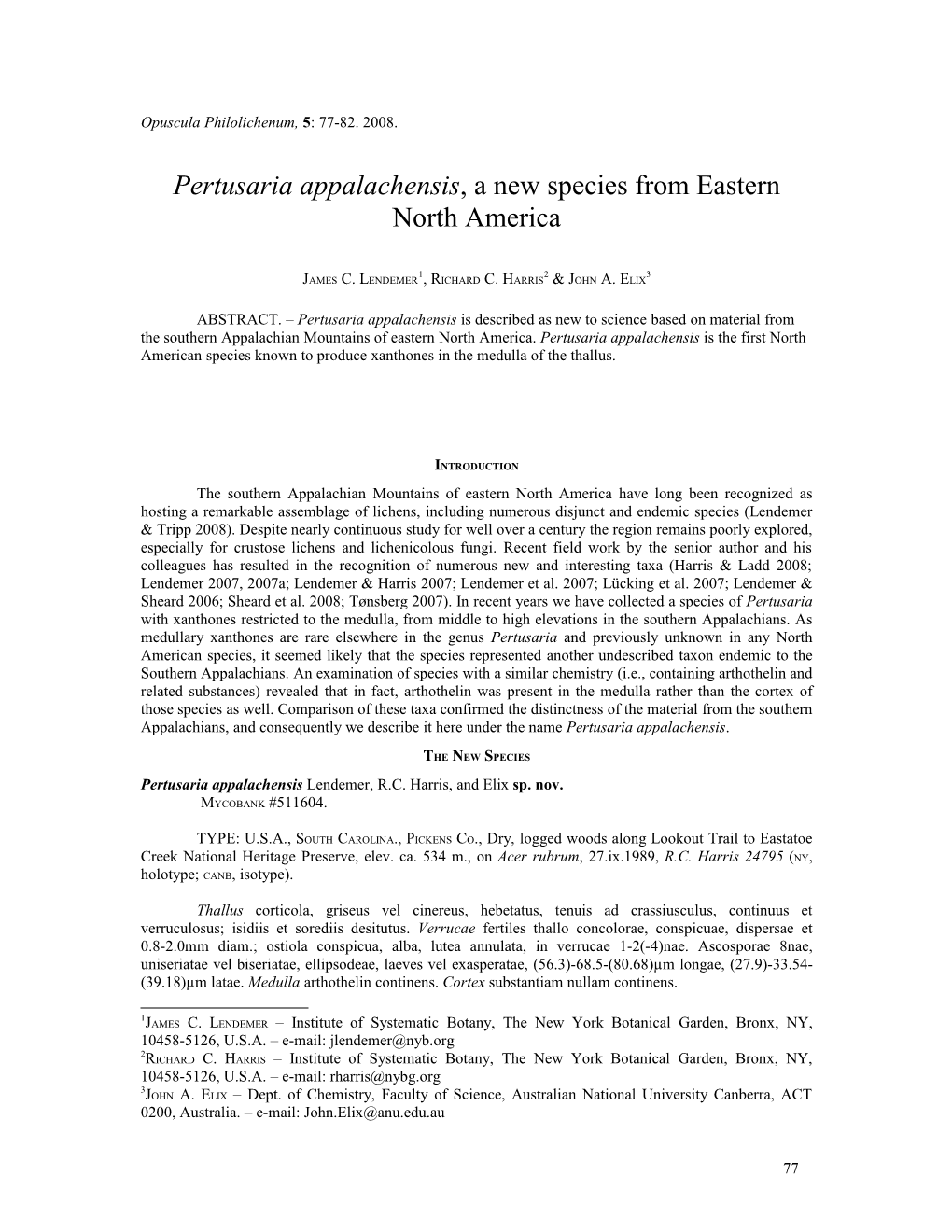 Pertusaria Appalachensis, a New Species from Eastern North America