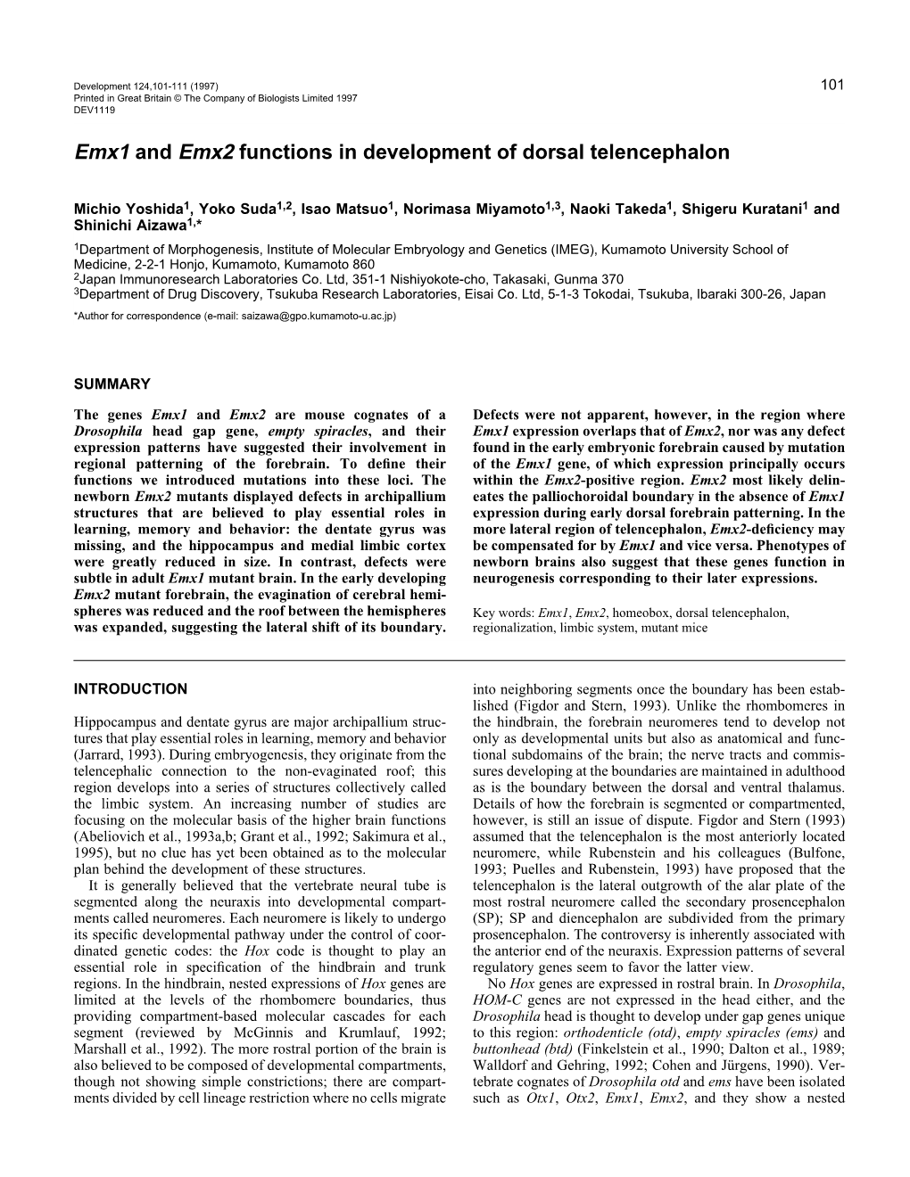 Emx1 and Emx2 Functions in Development of Dorsal Telencephalon