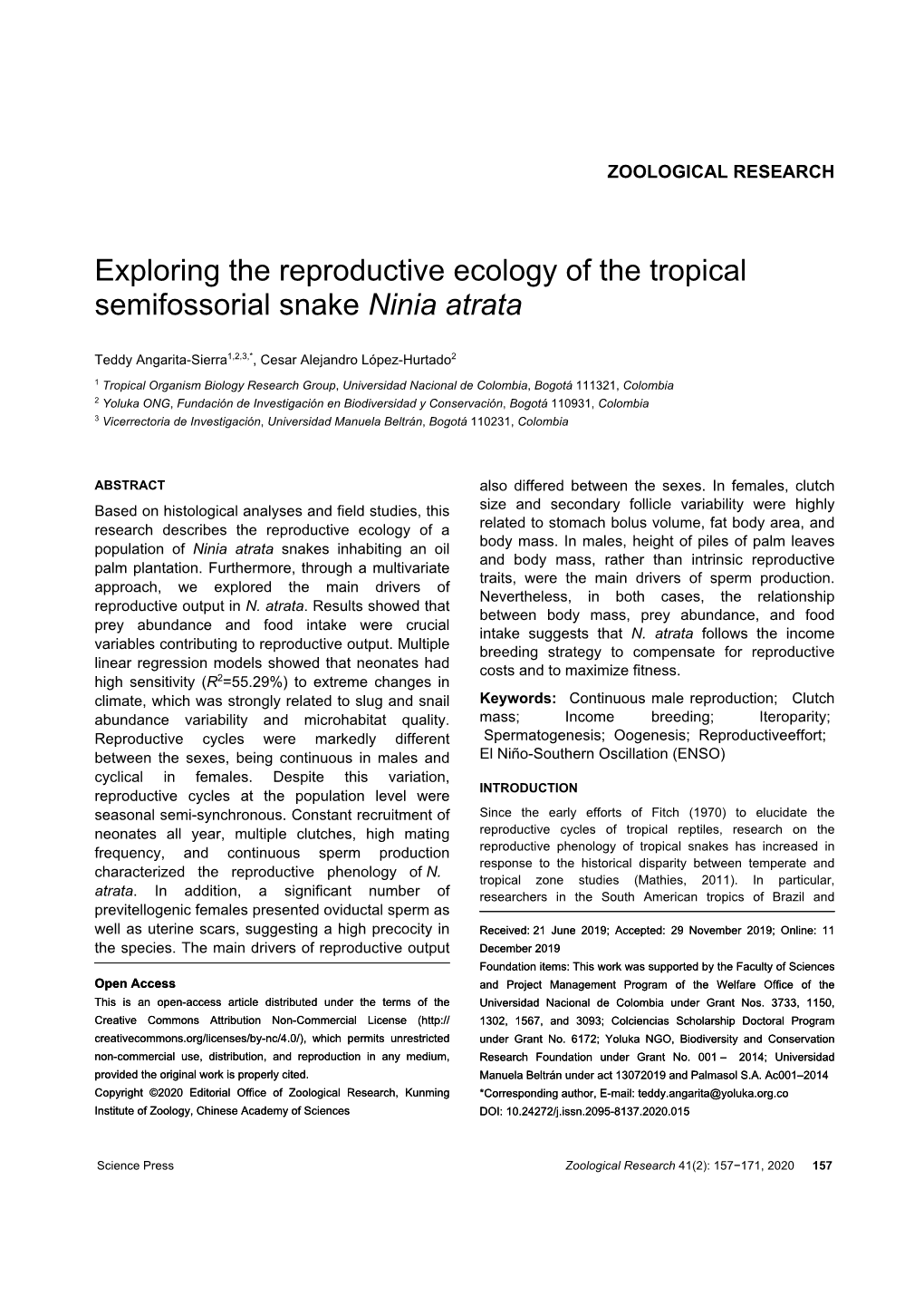 Exploring the Reproductive Ecology of the Tropical Semifossorial Snake Ninia Atrata