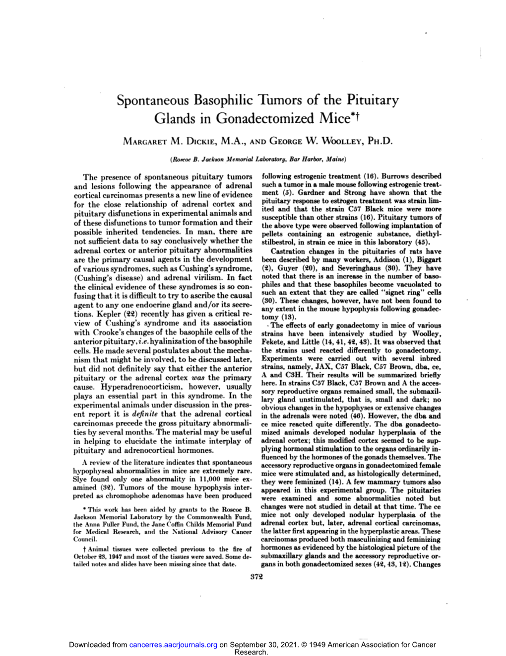 Spontaneous Basophilic Tumors of the Pituitary Glands in Gonadectomized Mice*T