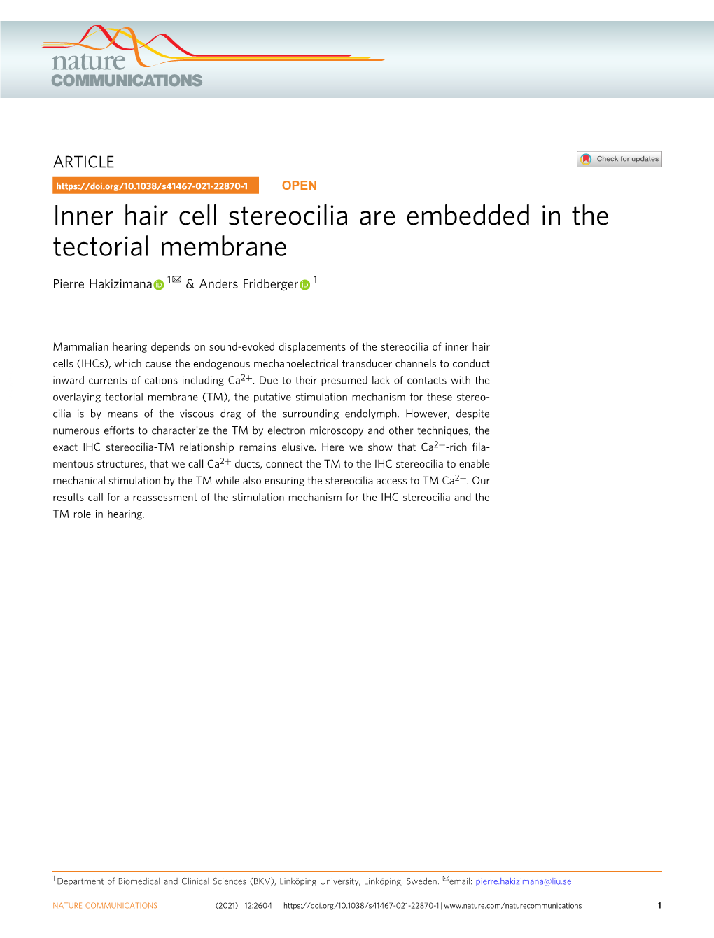 Inner Hair Cell Stereocilia Are Embedded in the Tectorial Membrane ✉ Pierre Hakizimana 1 & Anders Fridberger 1