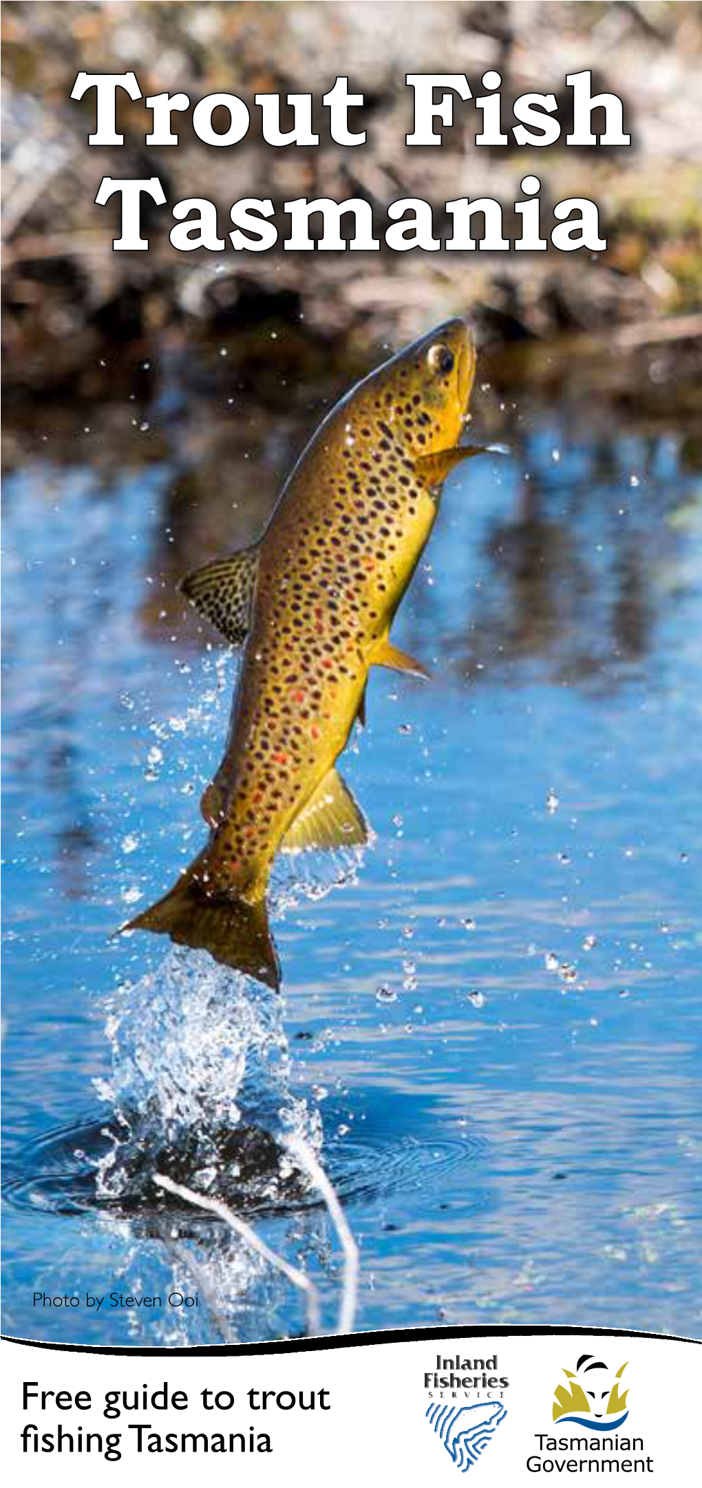 Trout Fish Tasmania Brochure