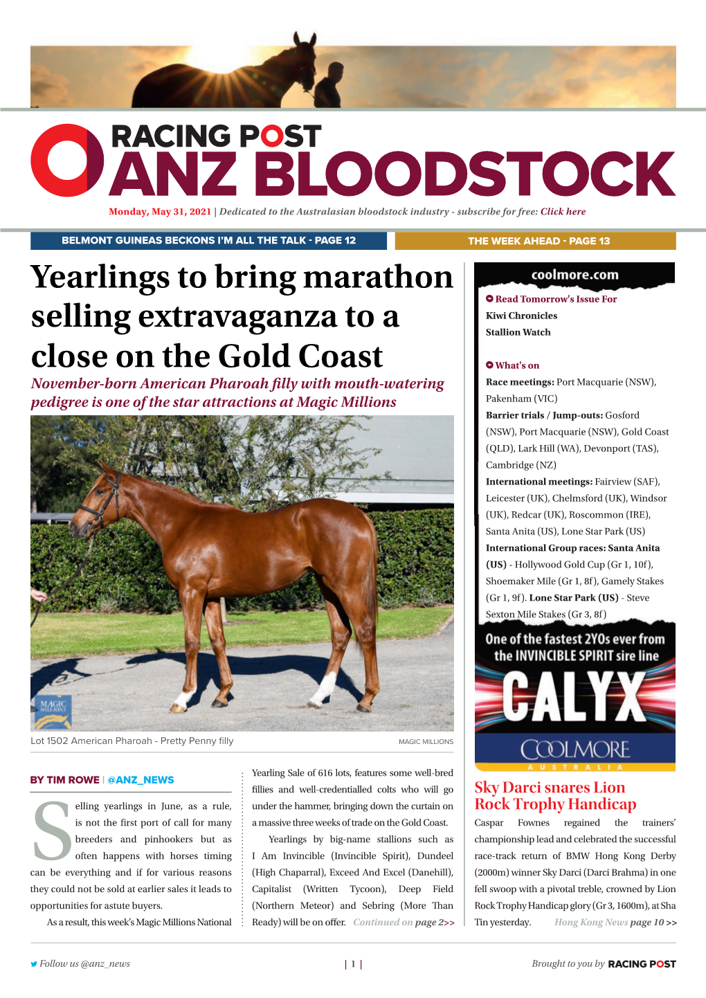 Yearlings to Bring Marathon Selling Extravaganza to a Close on the Gold Coast | 2 | Monday, May 31, 2021