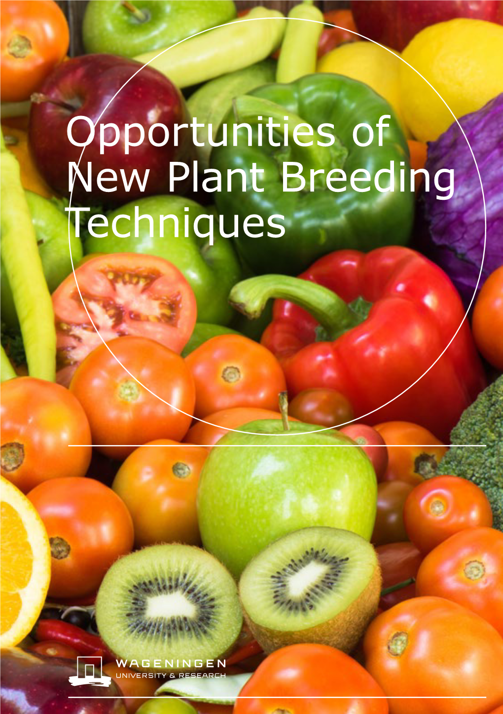 Opportunities of New Plant Breeding Techniques