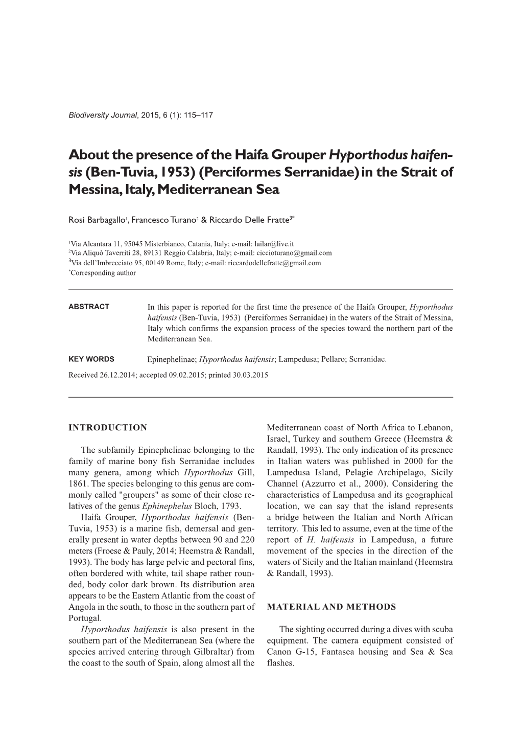 About the Presence of the Haifa Grouper Hyporthodus Haifen- Sis (Ben-Tuvia, 1953) (Perciformes Serranidae)In the Strait of Messina, Italy, Mediterranean Sea